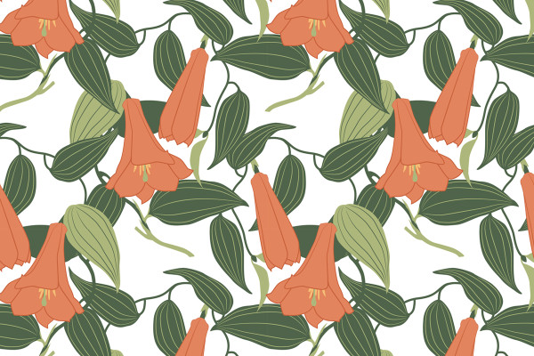 Texturas y motivos con plantas tropicales