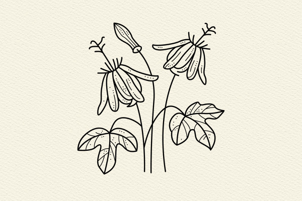 Graphiques/Icônes avec des plantes exotiques, des plantes en pot et des plantes aquatiques.