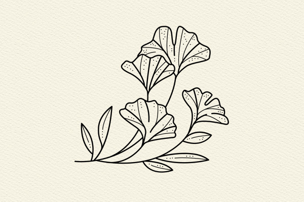 Graphiques/Icônes avec des herbes