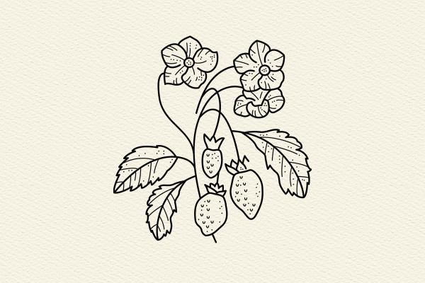 Graphiques/Icônes avec des plantes fruitières et des arbres.