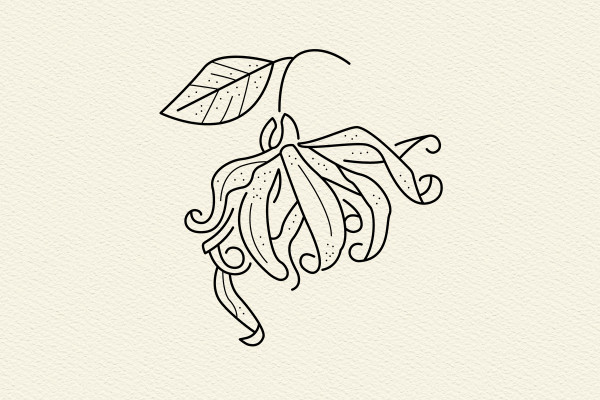 Graphiques/Icônes avec des arbres décoratifs, des buissons et des plantes vivaces