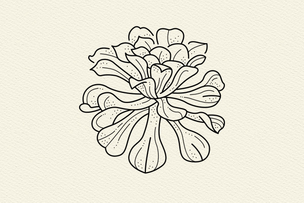 Graphiques/Icônes avec des feuilles et diverses plantes