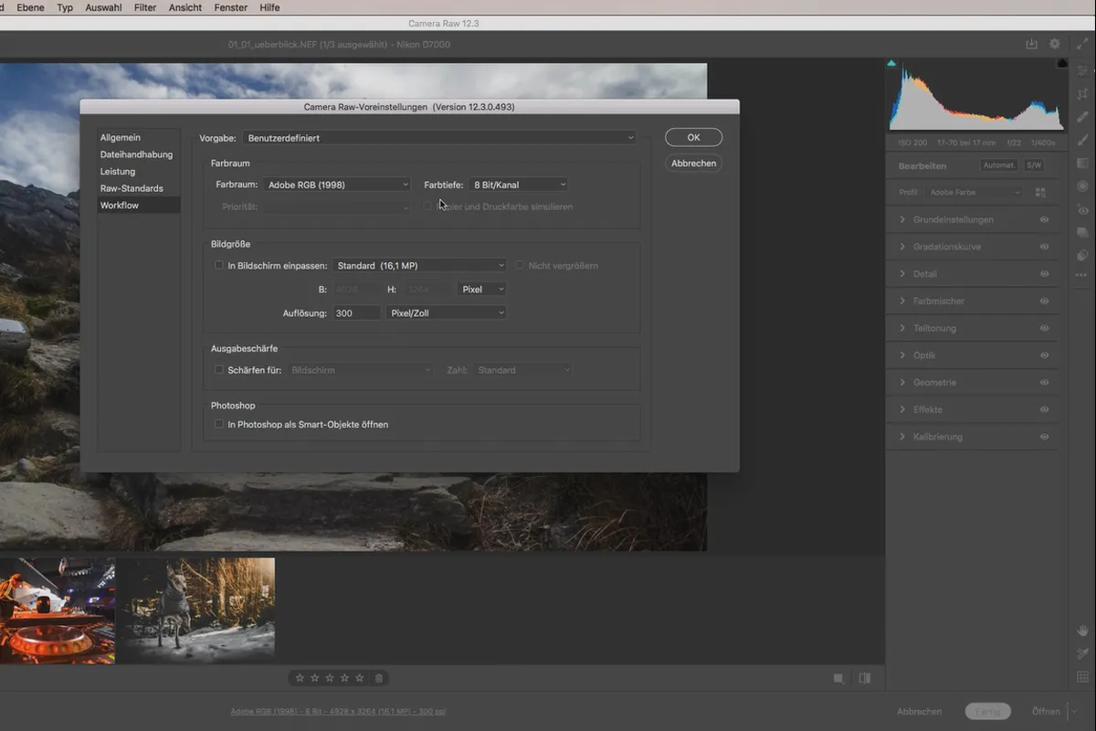 Camera Raw-opplæring: 1.3 | Innstillinger