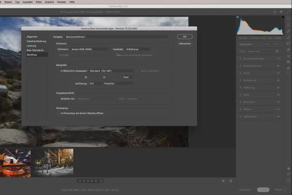 Camera Raw-opplæring: 1.3 | Innstillinger