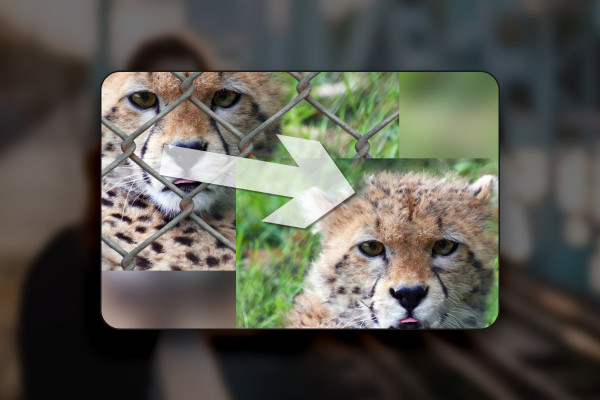 Affinity Photo (best-of hacks): 01 | Remove objects such as grids quickly and easily