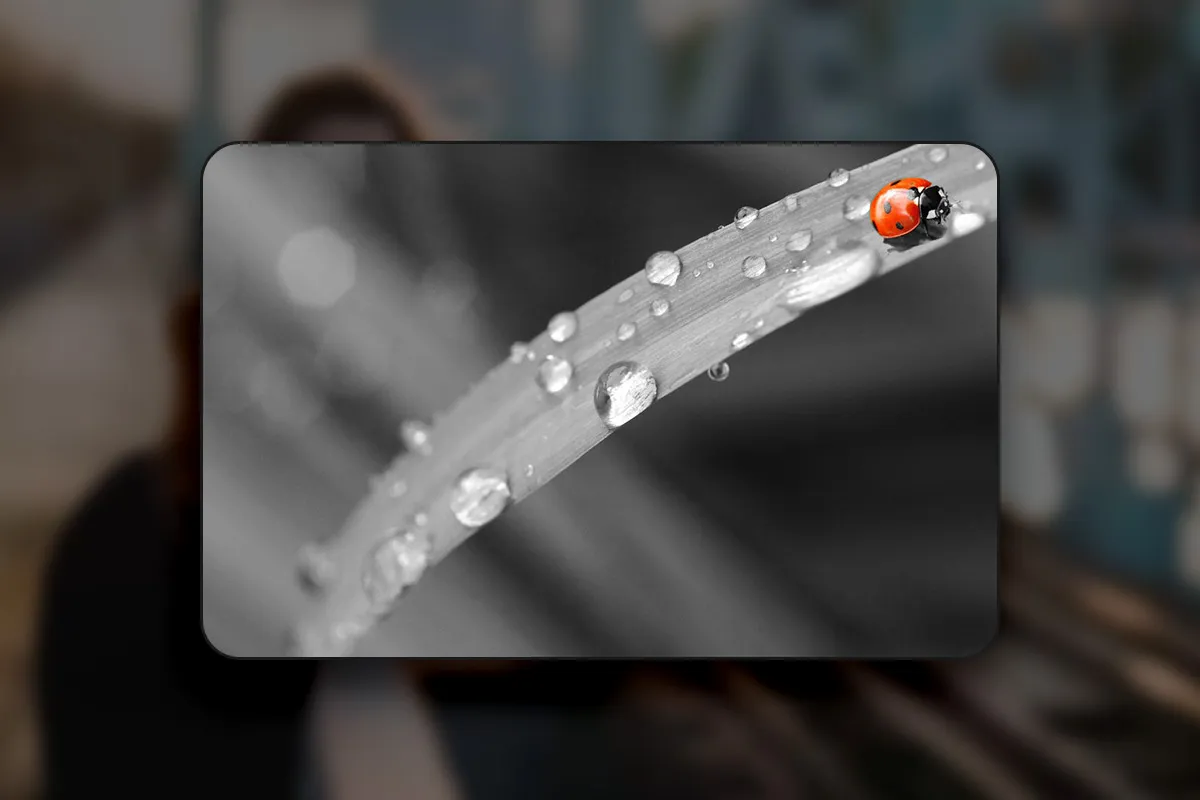 Affinity Photo (Best-of-Hacks): 06 | Effetto chiave di colore: rimozione delle gamme di colore per evidenziare determinati oggetti