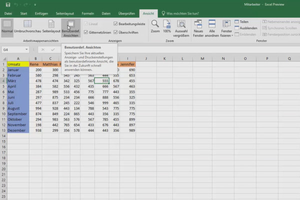 Excel training for more efficiency in the office: Calendar, organization chart & Co - 2.2 User-defined views