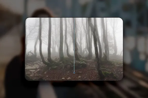 Affinity Photo (Best-of-Hacks): 10 | Effetto foresta mistica con pochi clic