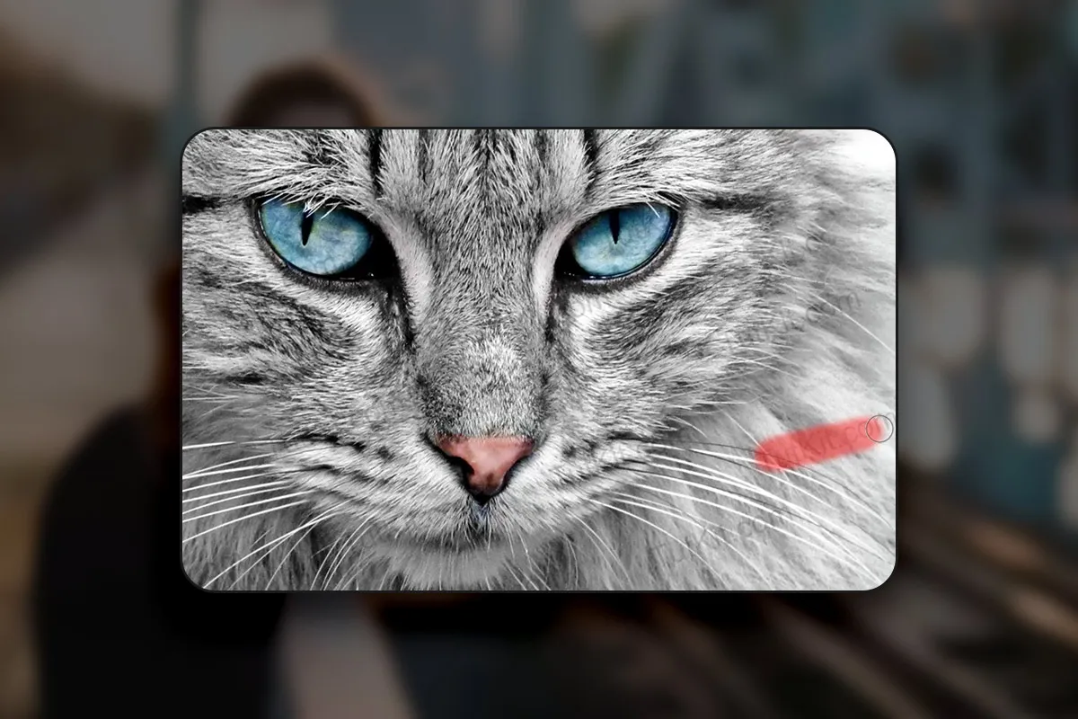 Affinity Photo (Best-of-Hacks): 15 | Rimozione watermark in 2 modi (con soluzione con un clic grazie all'IA)