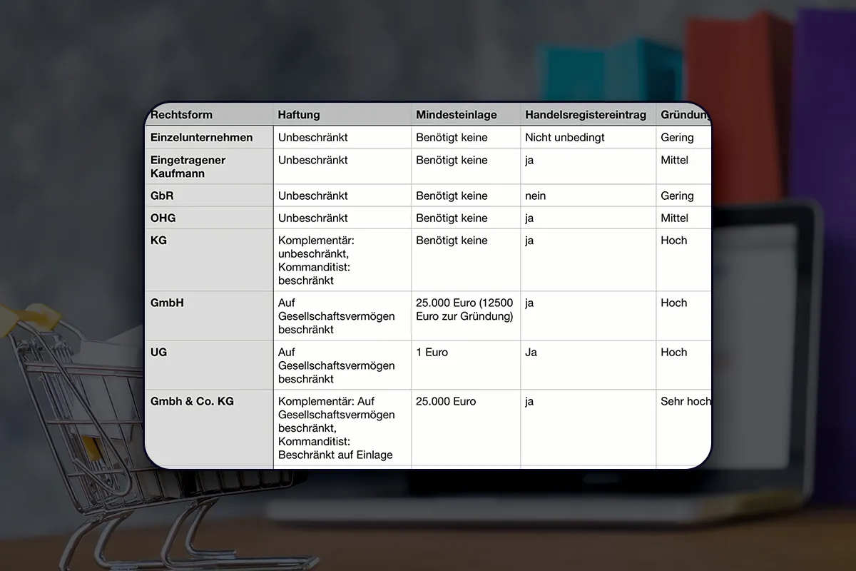 E-handels-guide: 3.3 | Vilken företagsform är lönsam för ett e-handelsmärke
