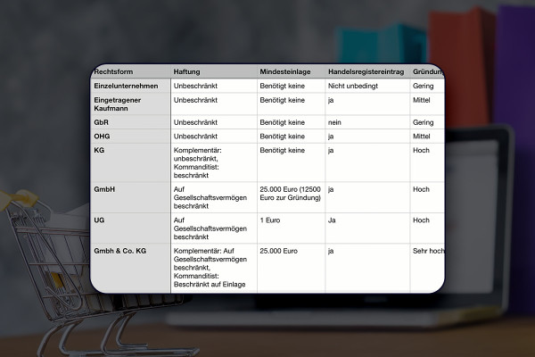 E-handels-guide: 3.3 | Vilken företagsform är lönsam för ett e-handelsmärke