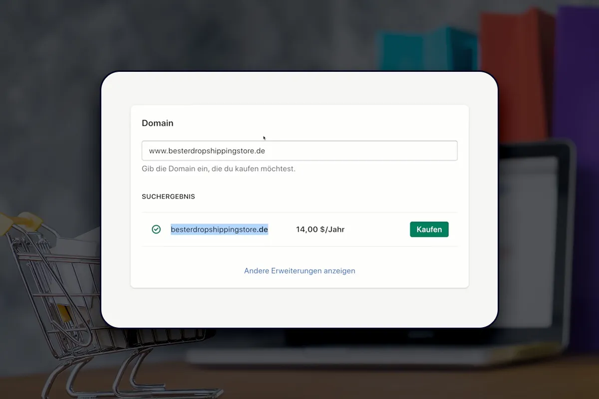 E-Commerce-Tutorial: 5.9 | Domain kaufen