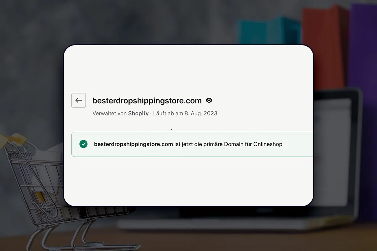 E-Commerce-Tutorial: 5.10 | Neue Domain zur primären Domain machen