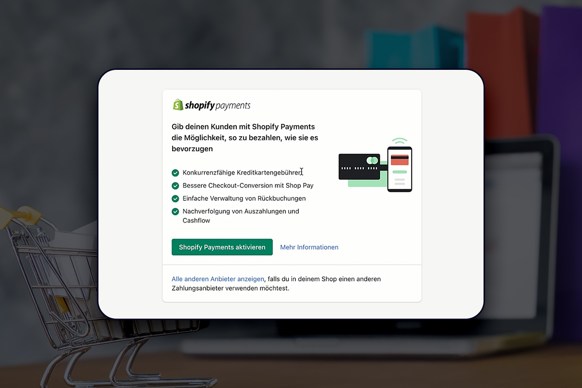 E-Ticaret Kılavuzu: 6.5 | Ödeme Seçenekleri ve Shopify Payments
