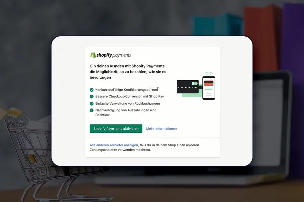 E-handels-guide: 6.5 | Betalningsmöjligheter och Shopify Payments