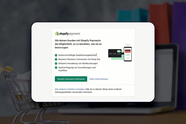 E-Commerce-Tutorial: 6.5 | Bezahlmöglichkeiten und Shopify Payments