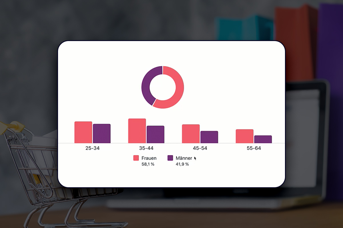 E-Ticaret Kılavuzu: 10.5 | Audience Insights Tool kullanımı