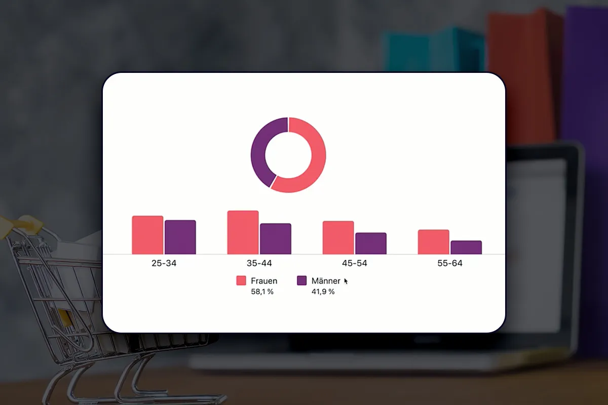 E-handel handledning: 10.5 | Använda Audience Insights Tool
