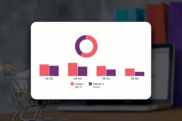 E-Commerce-Tutorial: 10.5 | Audience Insights Tool verwenden