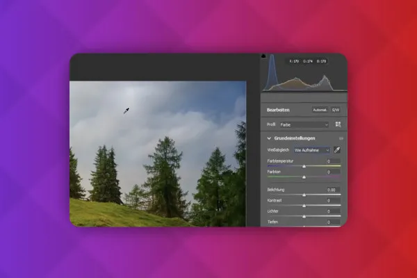 Tecniche di Photoshop: 3.31 | Bilanciamento del bianco automatico e manuale