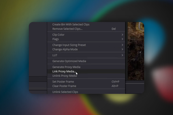 DaVinci Resolve: 2.6 | Proxy Media Cut videos faster