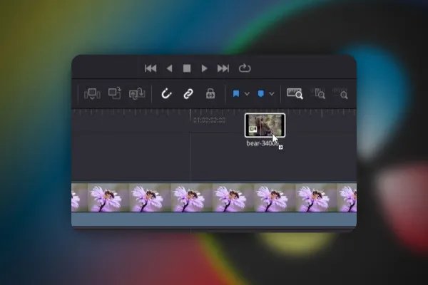 DaVinci Resolve: 5.3 | 새 타임라인 생성