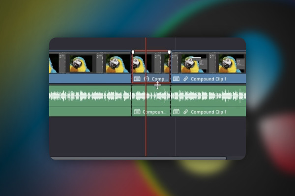 DaVinci Resolve: 5.7 | Set Clip Audio Speed
