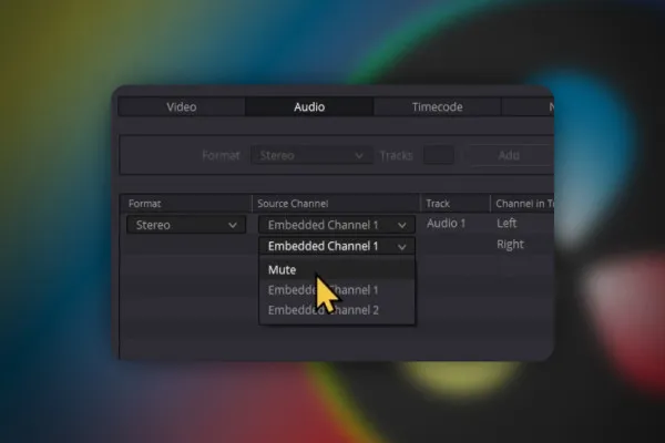DaVinci Resolve: 7.9 | Stereo in Mono umwandeln