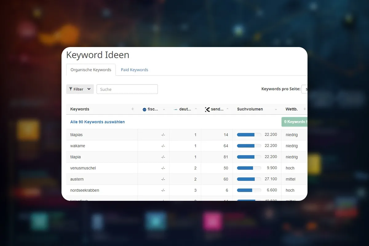 SEO: 17 | Domain-, Gap- und Schnittmengen-Analyse