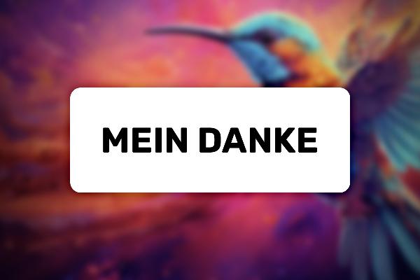 Adobe Firefly: 11.2 | Hvordan går det videre, takk.