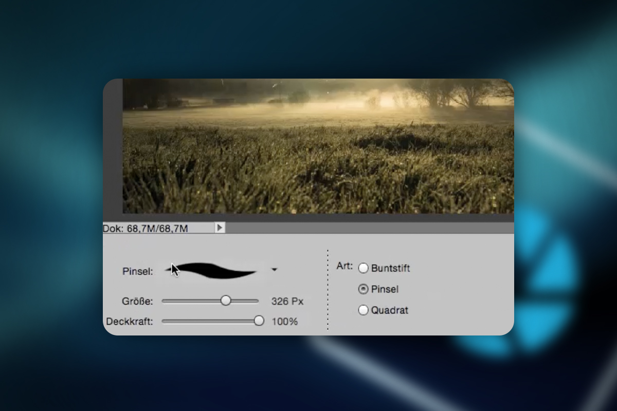 Photoshop Elements: 2.6 | Barre des tâches de contrôle
