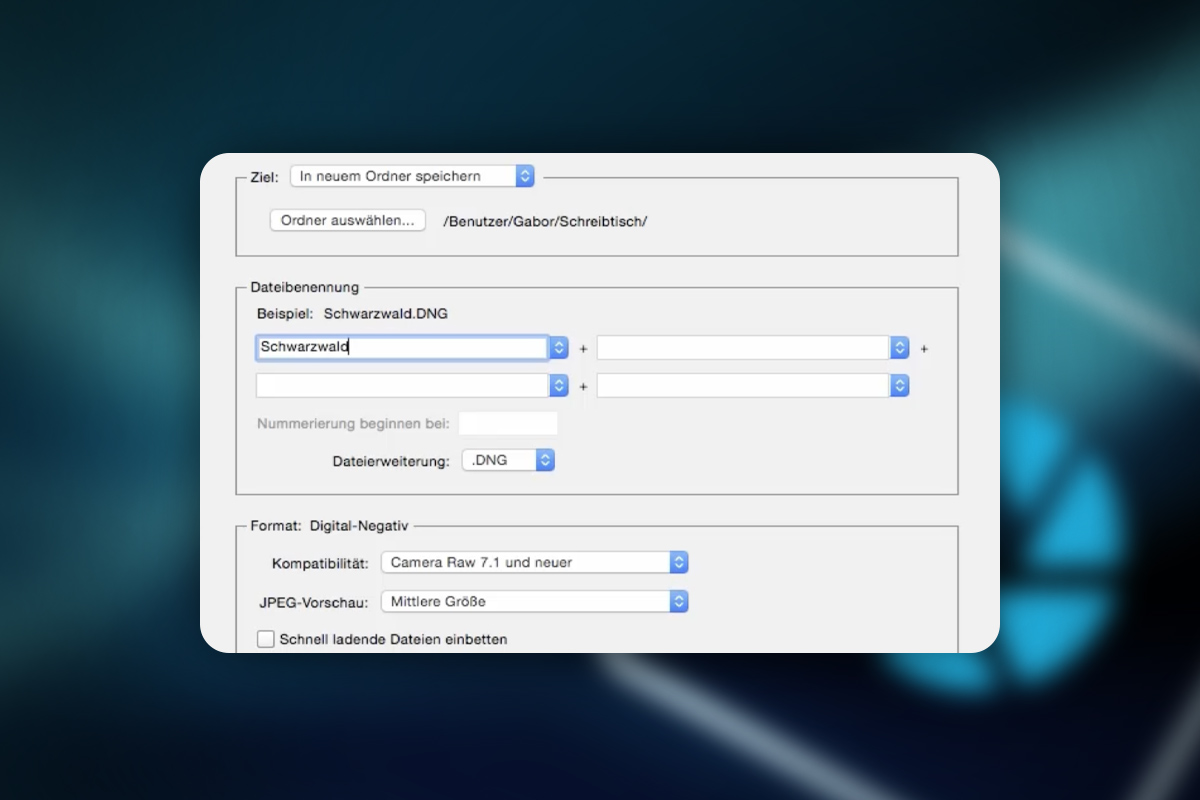 Photoshop Elements : 4.7 | Enregistrer Raw en tant que DNG.