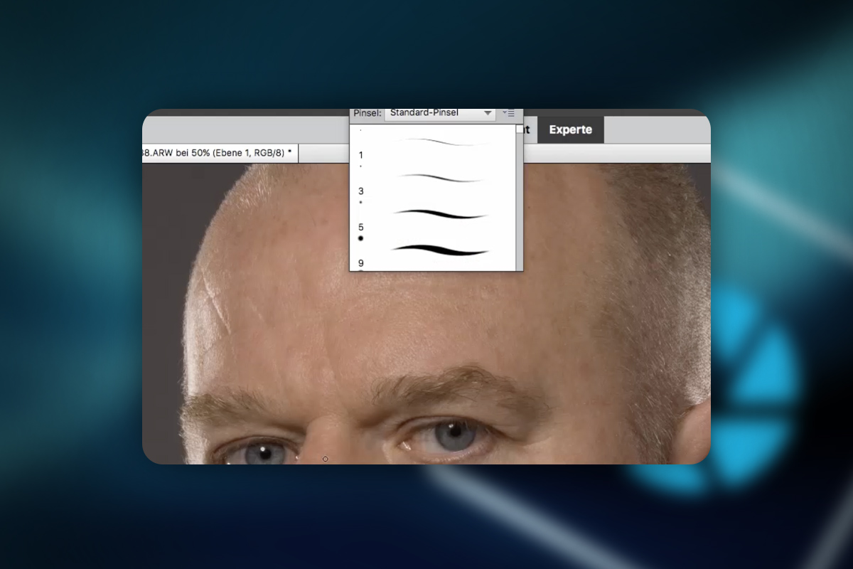 Photoshop Elements: 6.4 | Tampon de clonage