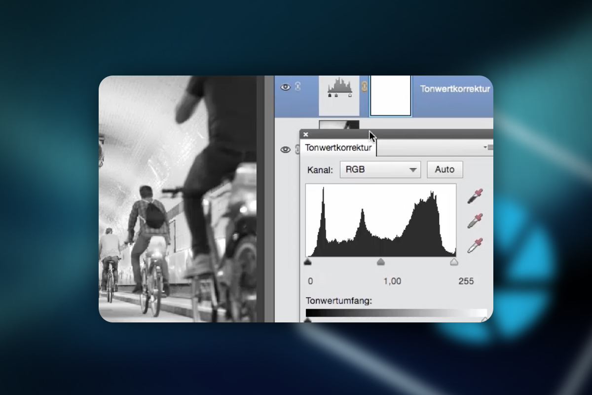 Photoshop Elements: 9.4 | Luminosité