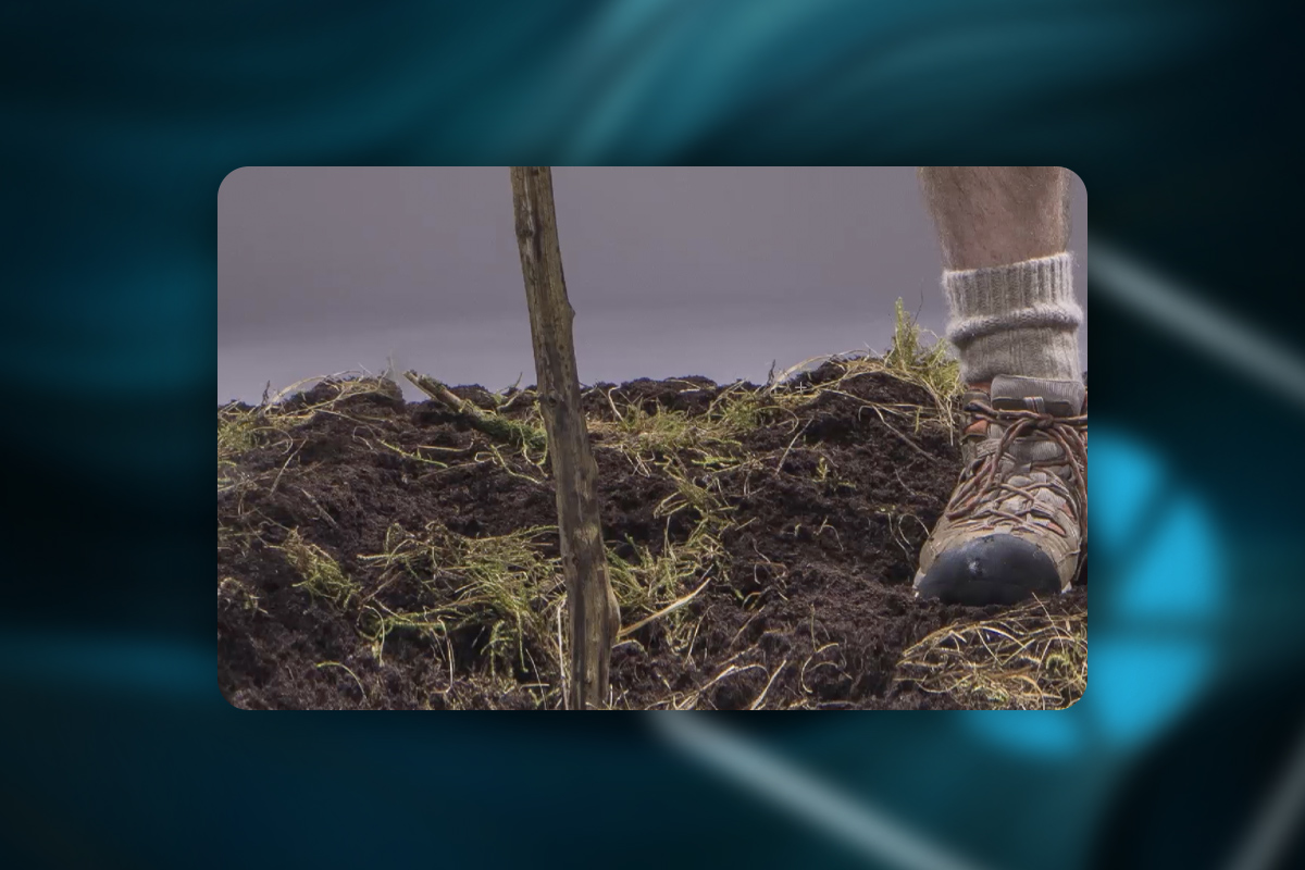 Photoshop Elements ile görüntü düzenleme: 7 | Eksik pikselleri doldurma