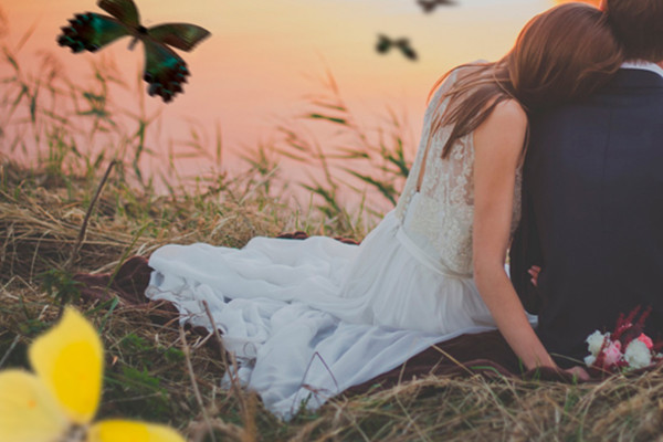 Papillons : 25 images en tant que superpositions - Version 3