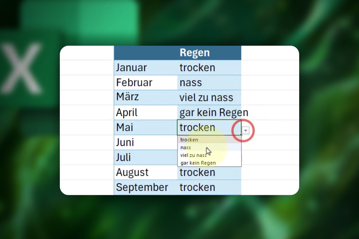 Excel-Tipps: 36 | Auswahlbox erstellen für eine leichtere Dateneingabe