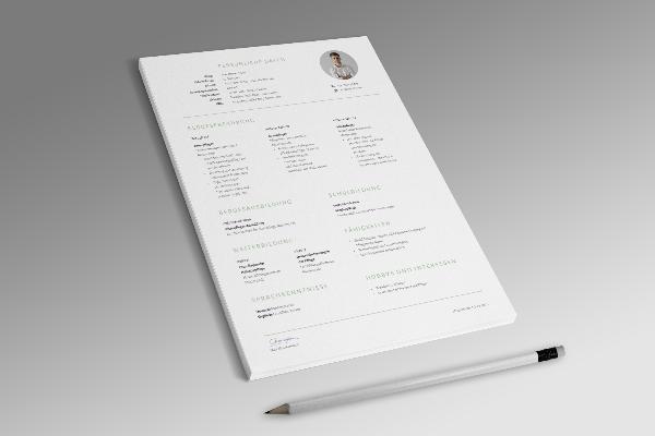 Modello di curriculum per infermiere/infermiera anziani, in verde menta (una pagina)