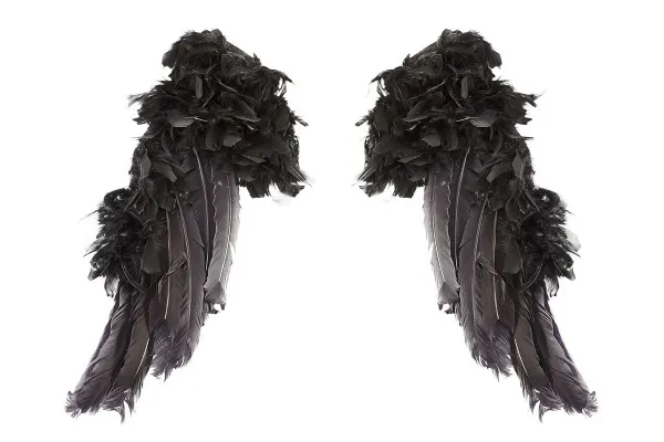 Fantastic wing pictures with black angel wings