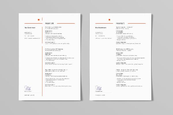 Projektlisten-Vorlage für Bewerbungen: "Consult"