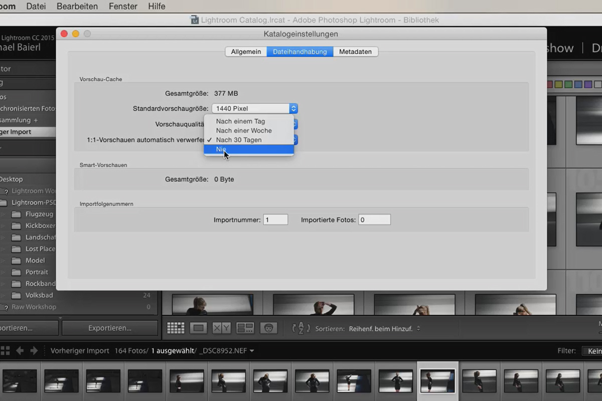 Lightroom para principiantes y usuarios de nivel intermedio: 01 - Introducción - 1.3 - Ajustes del catálogo
