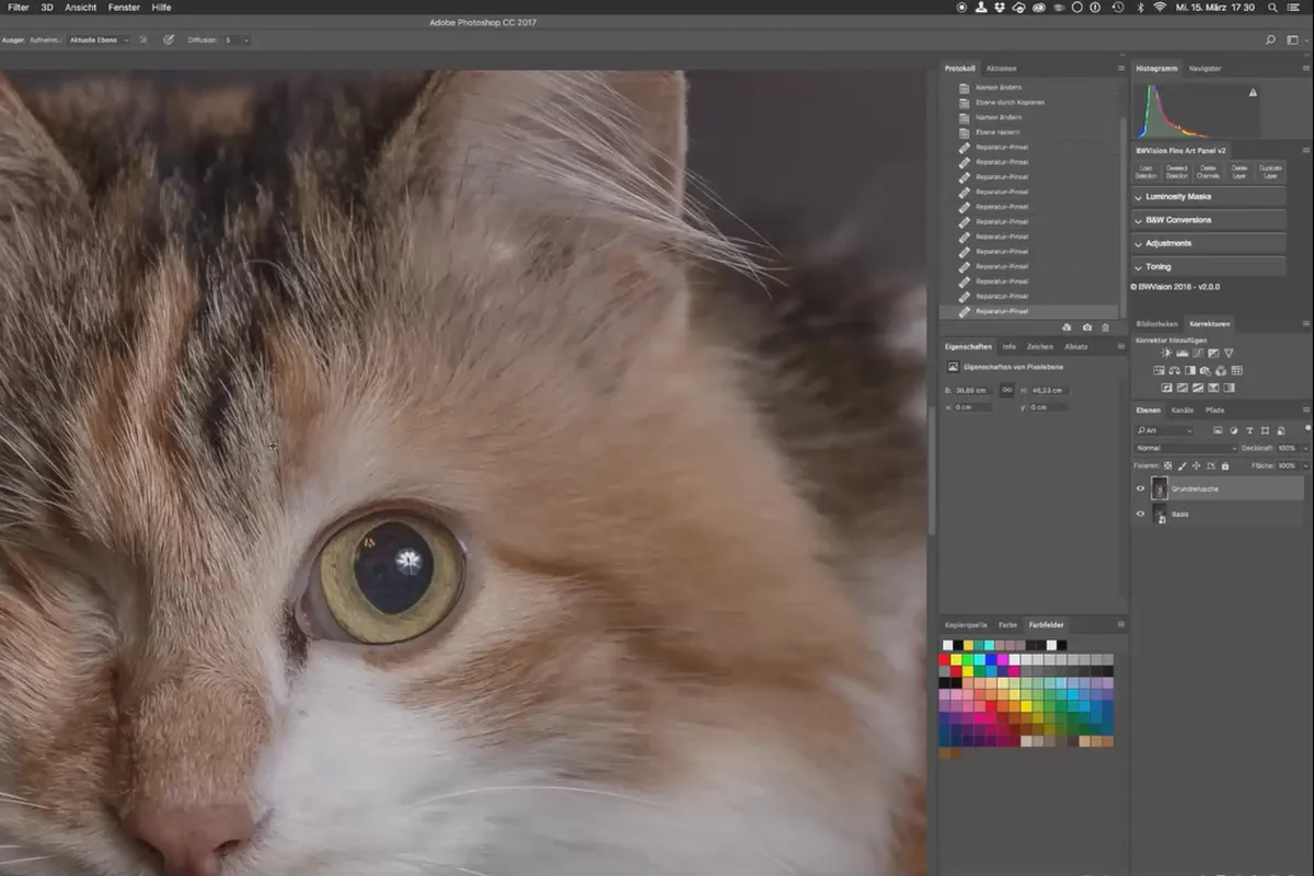 Epische Katzenporträts selbst fotografieren – 3 Die Bildbearbeitung, Teil 1/3