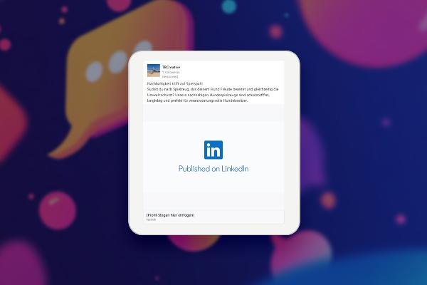 Paid Ads-Tutorial: 9.2 | The LinkedIn B2B Ad