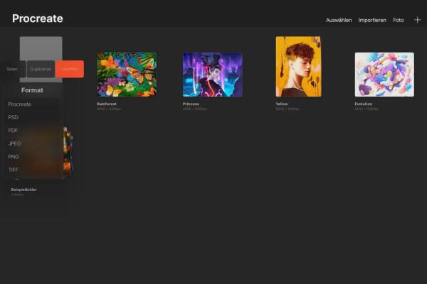 Procreate-handledning - Grundläggande om digital ritning på iPad: 1.3 | Organisera galleri