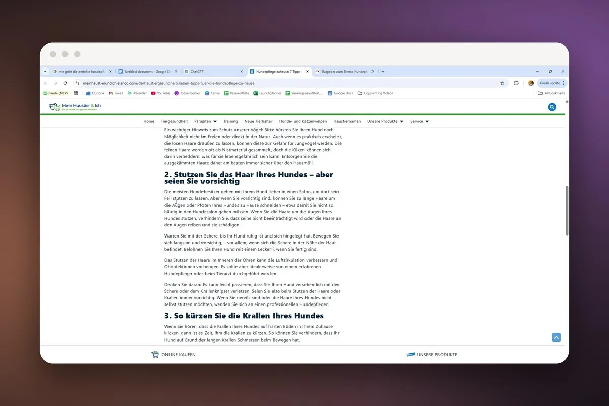 GEO: 4.1 Beispiel: Einen bestehenden Artikel GEO-optimieren