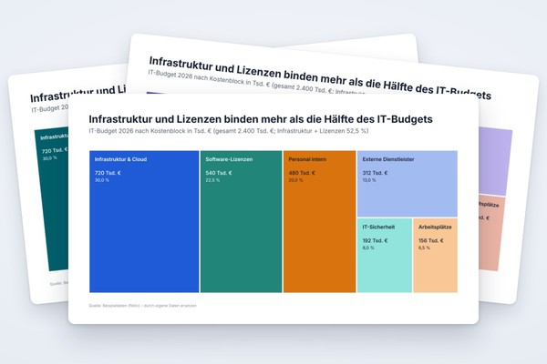 Infografik-Vorlage: Treemap Budgetverteilung