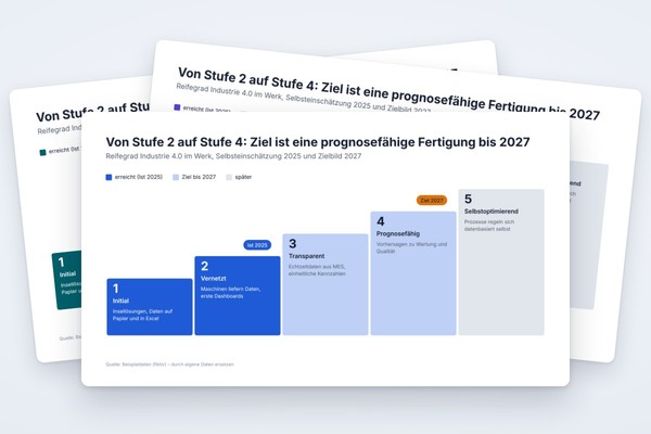 Infografik-Vorlage: Reifegradmodell mit Ist- und Zielstufe