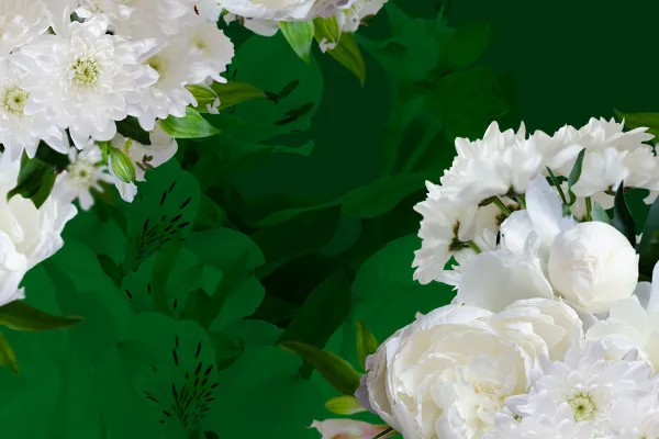 Pictures with white Blums: Bouquets