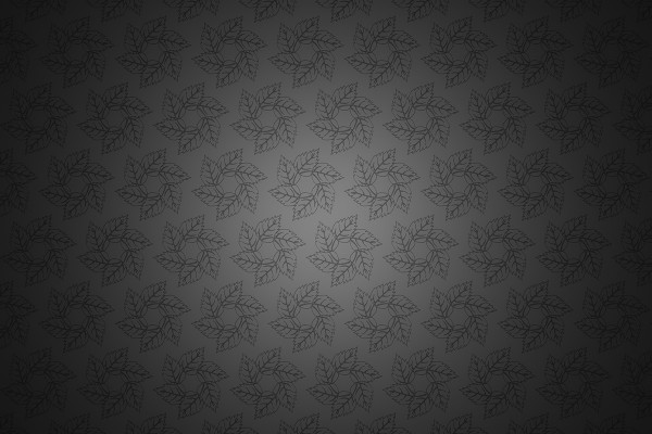Svartvitt bakgrund: 10 eleganta ornament – 4