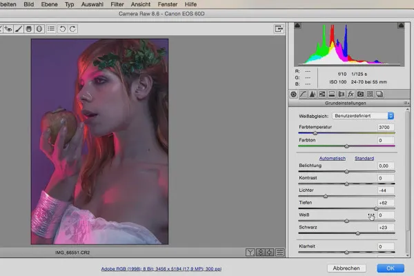 Stilių ir išvaizdos redagavimas su „Photoshop“ - stiliai „Raw“ konverteryje